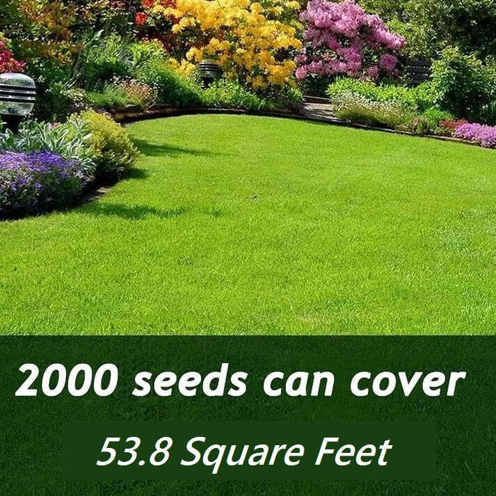 Year-Round Greenery
